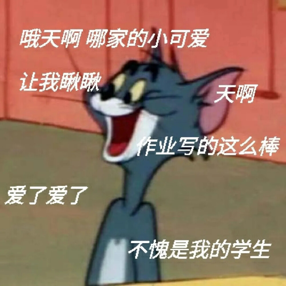 改作业的表情包