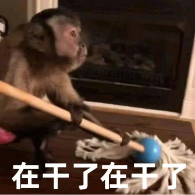 表情包