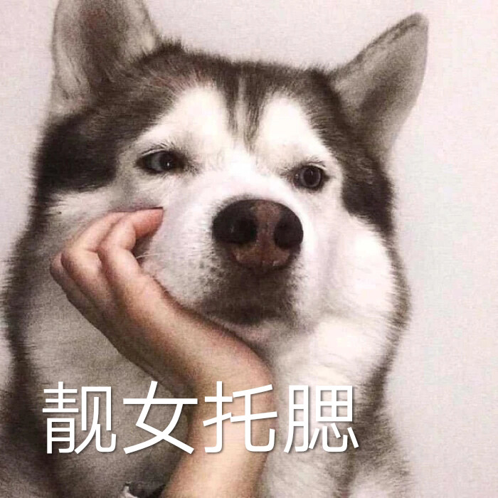表情包 - 高清图片，堆糖，美图壁纸兴趣社区