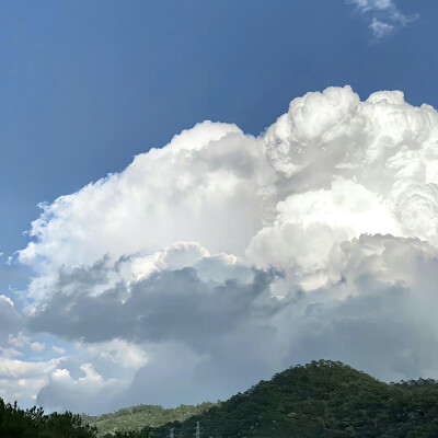 背景｜文案
我曾走过山，走过水，其实只是借助它们走过我的生命。