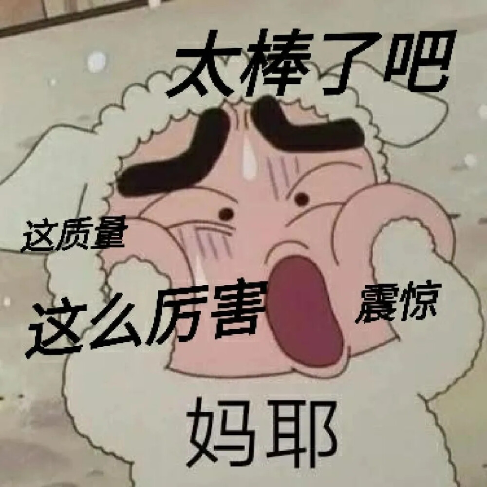 改作业的表情包