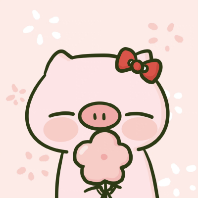 pp猪