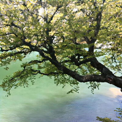 背景｜文案
一重山有一重山的错落，我有我的平仄。