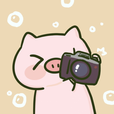 pp猪