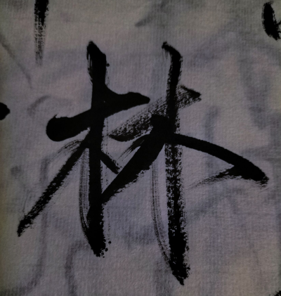 毛笔字