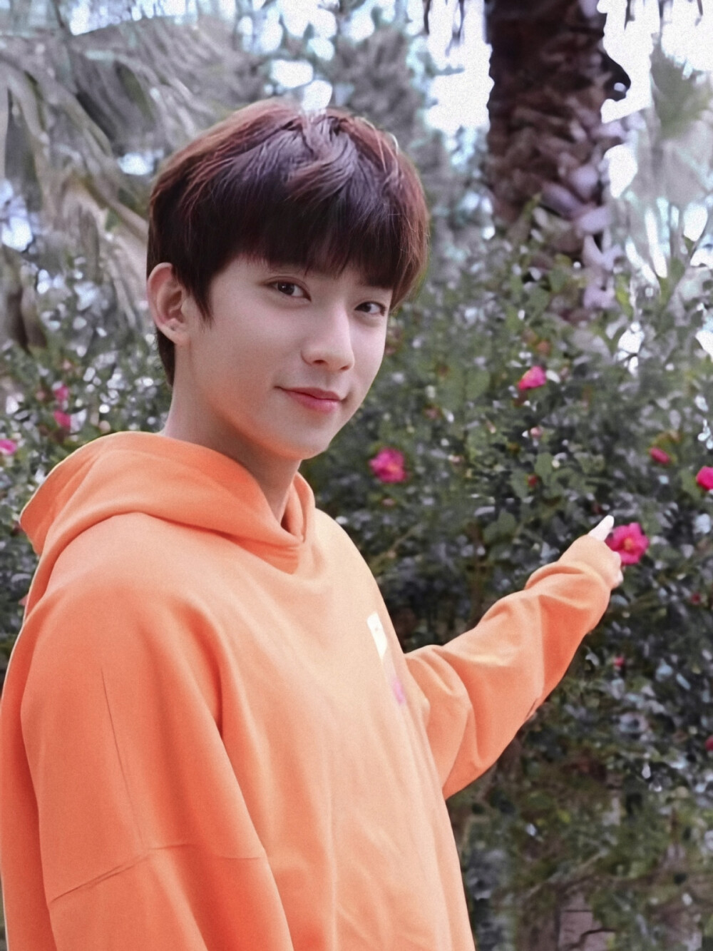 阳光璨尼✨
部分图源自wb（见水印）