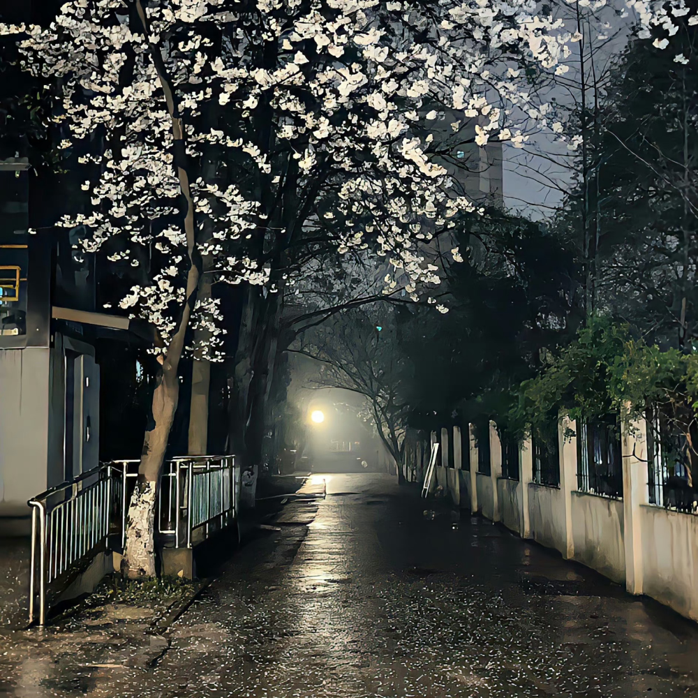 背景｜文案
幸与不幸都有尽头