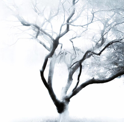 拿图关注＋收藏专辑/单图