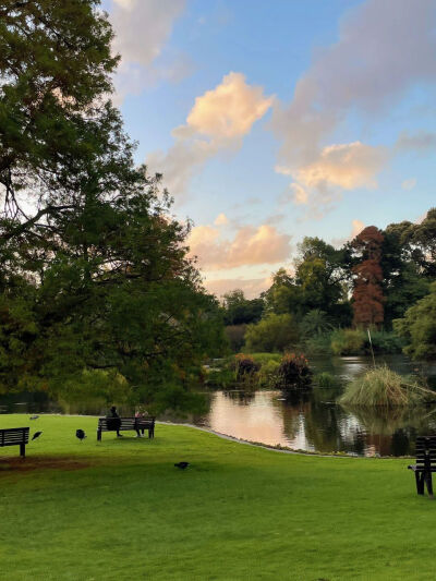 夏天是自由的 ​​​