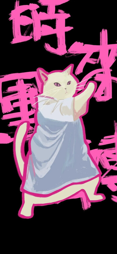 功夫猫猫