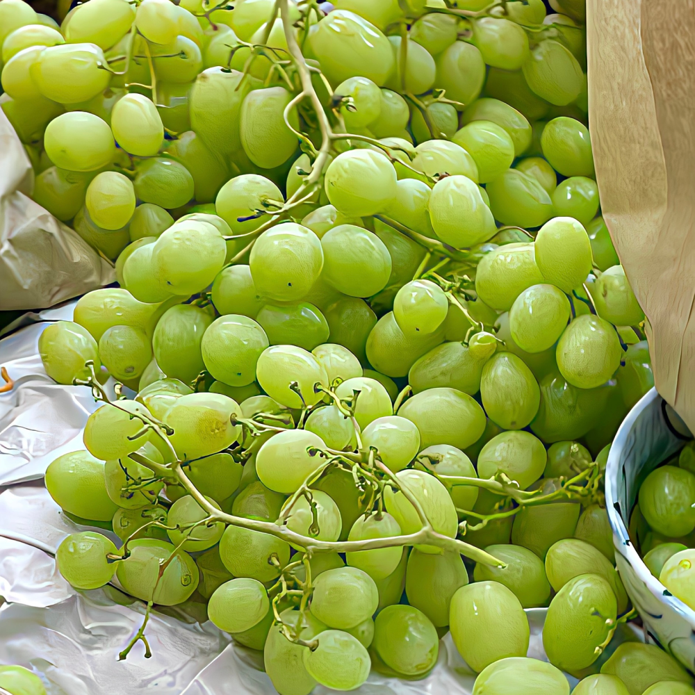 背景｜文案
我于窗中窥伤鹤，恰如仰头见春台。