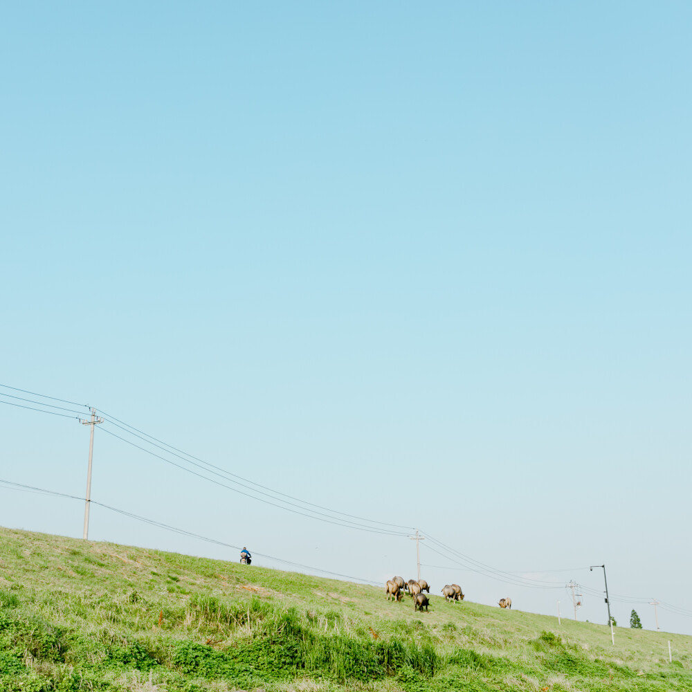 盛夏渣河墩
摄影：洪小漩
出镜：家人朋友
地址：渣河墩
盛夏，和朋友一起露营、嬉水、烧烤是我心心念念的事。
这个约，我们至少计划了半年之久。主要在于敲定三家的时间。
好不容易确定好了，高温也如期而至。三户人家从一开始的兴致勃勃，到后来的一直问“水呢、水在哪里？”最终，我们都像是挂在椅子和地垫上的抹布，只会哼哼。
最开心的恐怕就是两个在水里泡了一天的崽崽。水枪、水桶、网兜，便可以玩上一整天。其次，就是频繁在上下游穿梭钓鱼放地龙的阿科。少年心性，他开心就好。
结结实实晒了一天，又黑两个度，这是这个夏天送我的第一份大礼。