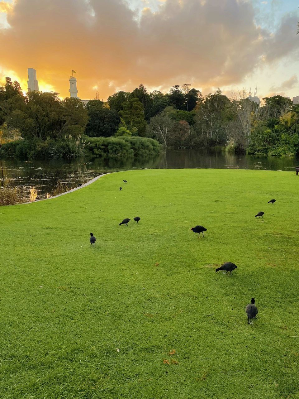 夏天是自由的 ​​​