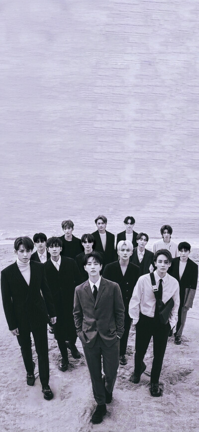 澈汉 豪雨 率宽 牙刷 seventeen