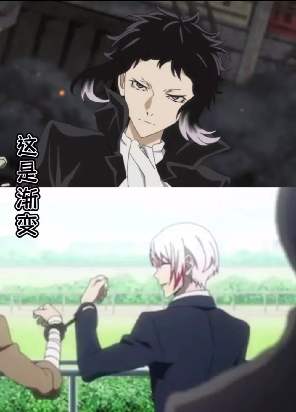 文豪野犬