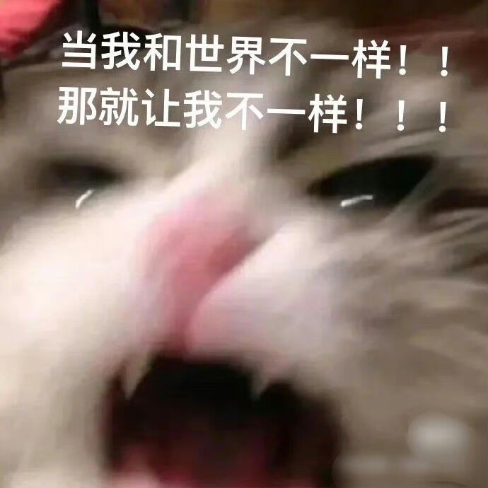 表情包