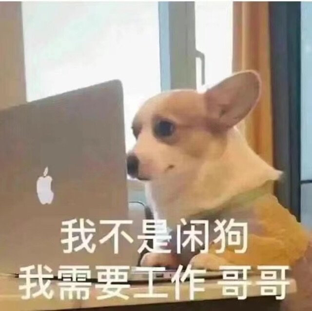 表情包