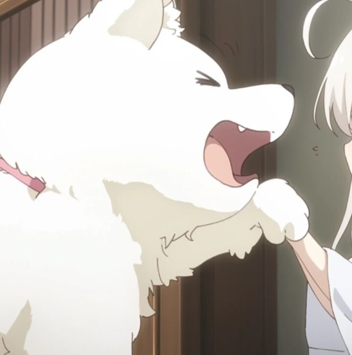 对象不是人系列