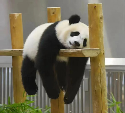 搞怪头像