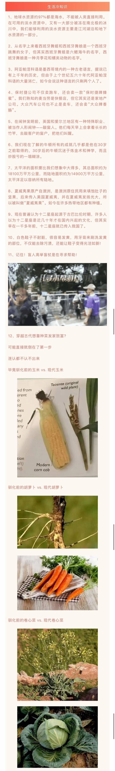 每日一科普