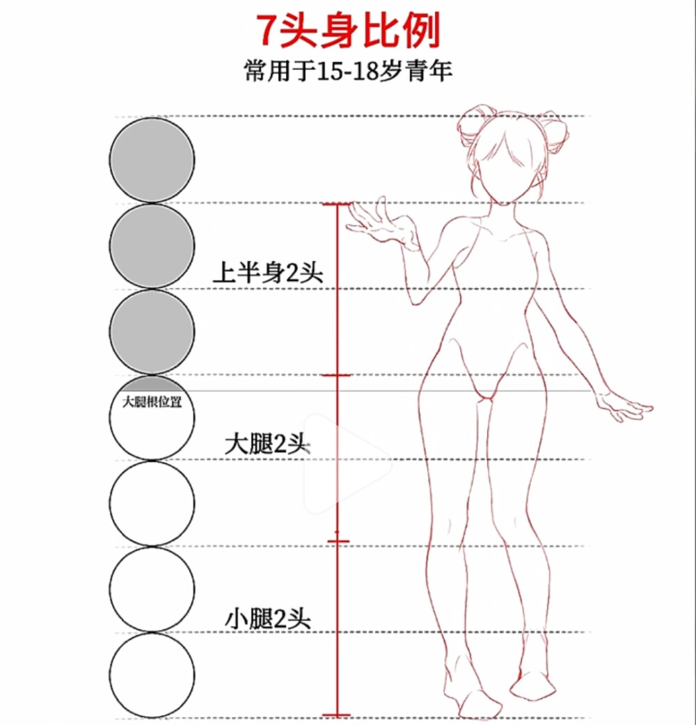 来源小红书：毛球滚滚来