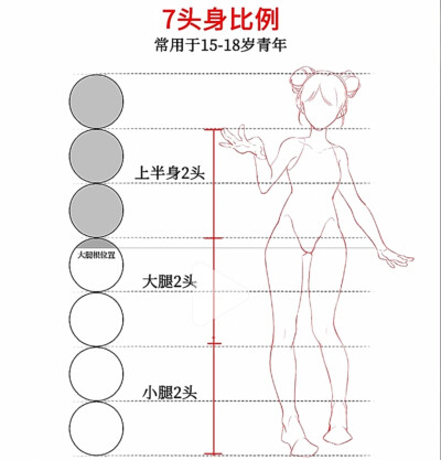 来源小红书：毛球滚滚来