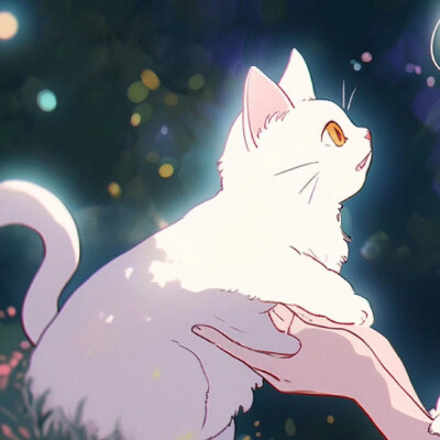 公主与她的猫情头₊⋆ ☾ ​​​
#情侣头像#