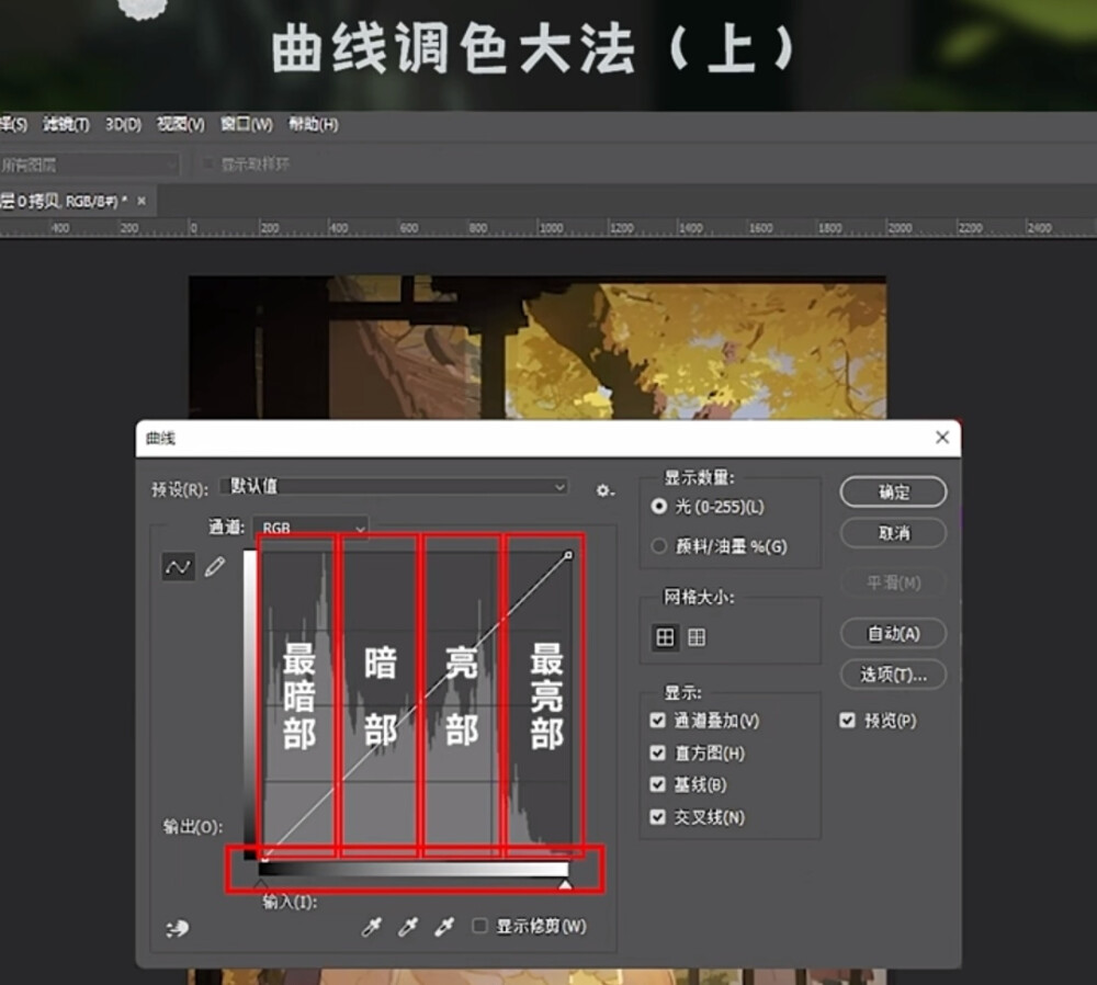 来源小红书：毛球滚滚来