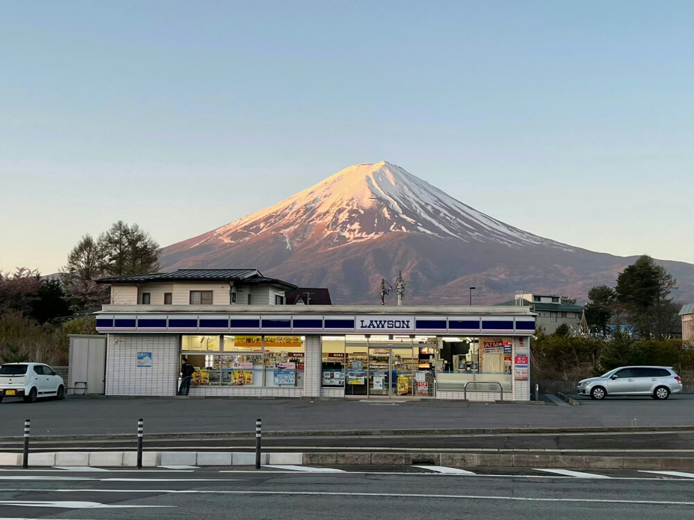 棲遲