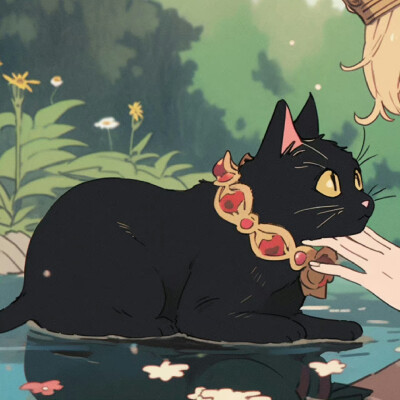 公主与她的猫情头₊⋆ ☾ ​​​
#情侣头像#