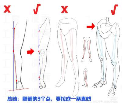 来源半次元