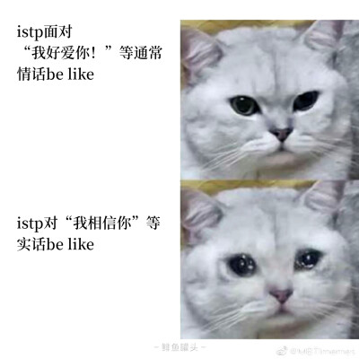 istp我本人: