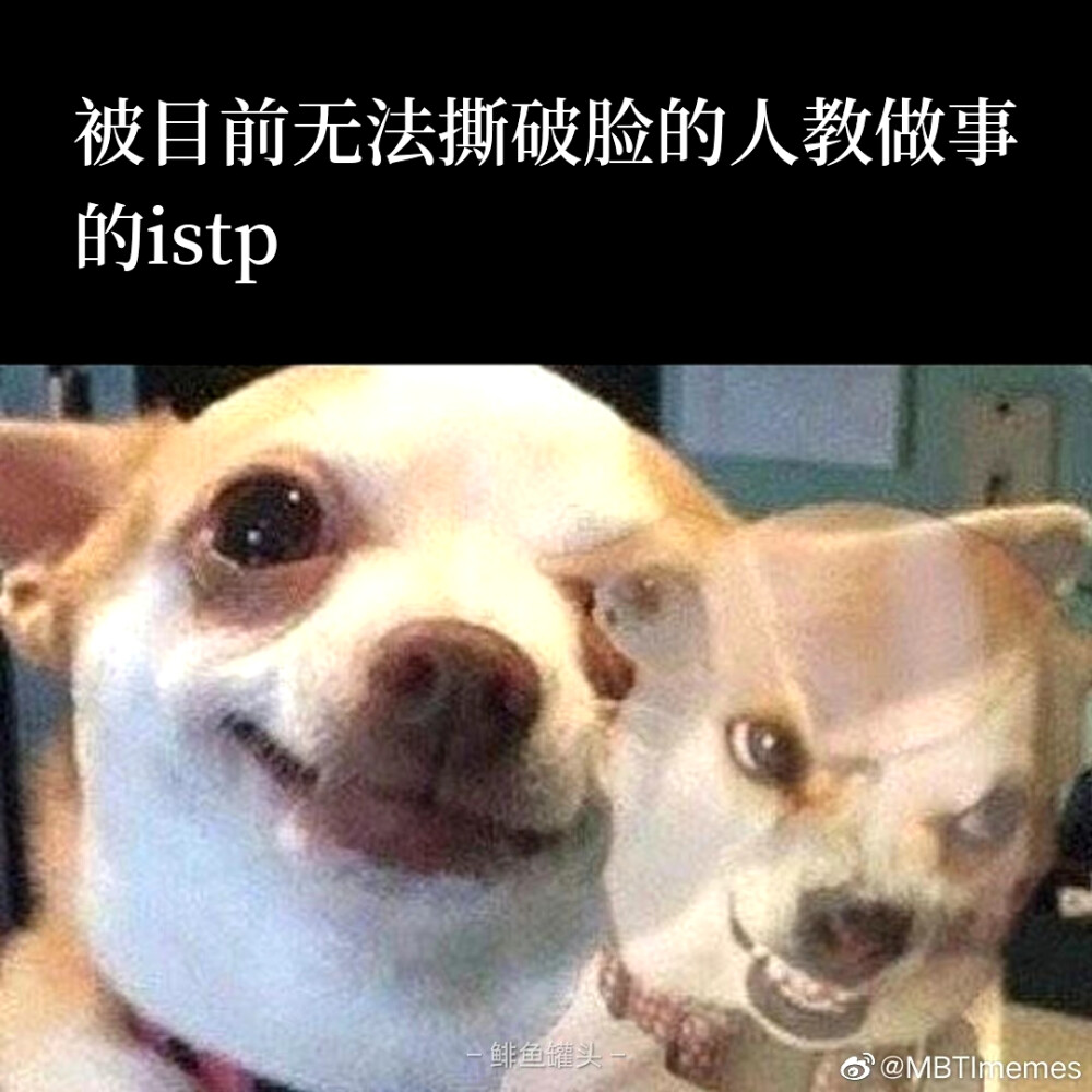 istp我本人: