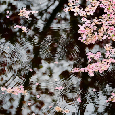 背景｜文案
你说，我们就山居于此吧，胭脂用尽时，桃花就开了。