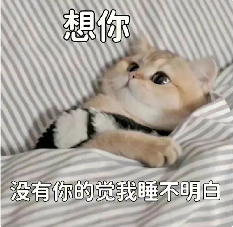 可爱猫猫表情包