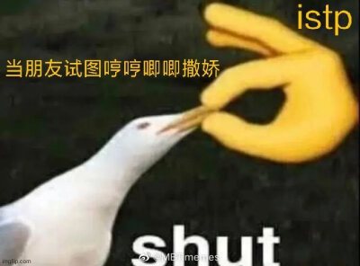 istp我本人: