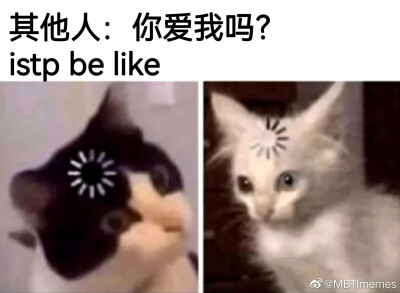 istp我本人: