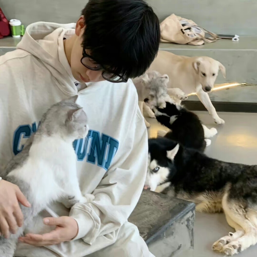 真人男生头像 ｜ 高清男头 ｜ 素质拿图