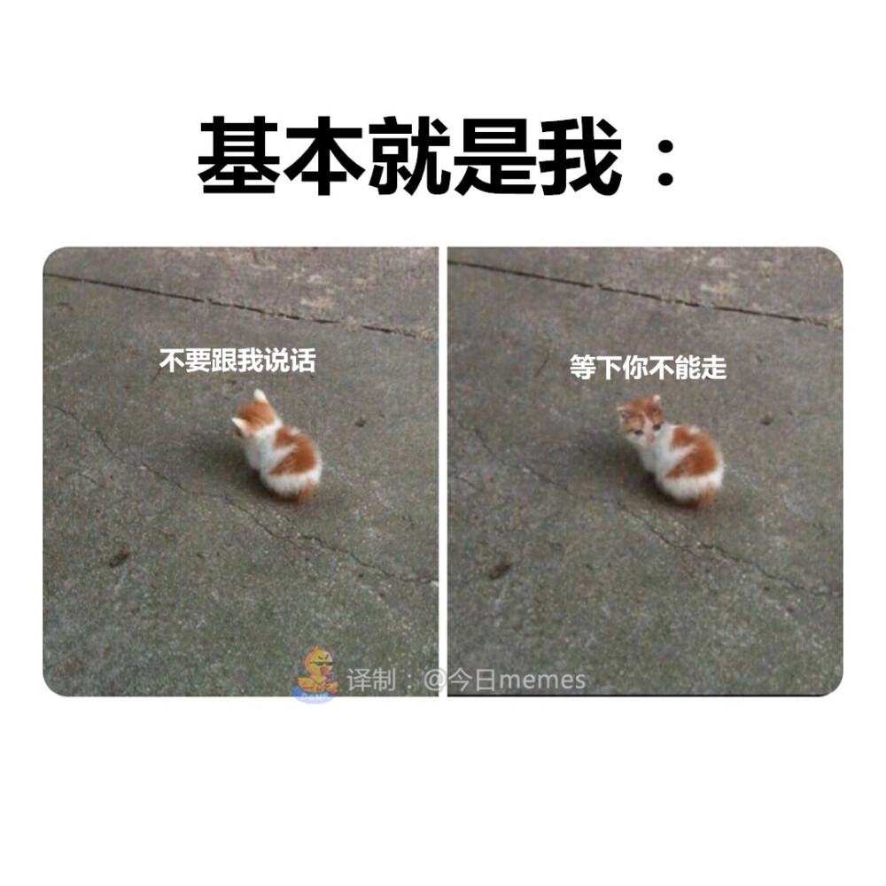 meme图 - 高清图片，堆糖，美图壁纸兴趣社区