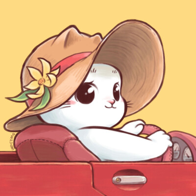 猫咪情侣头像，可爱的喵星人