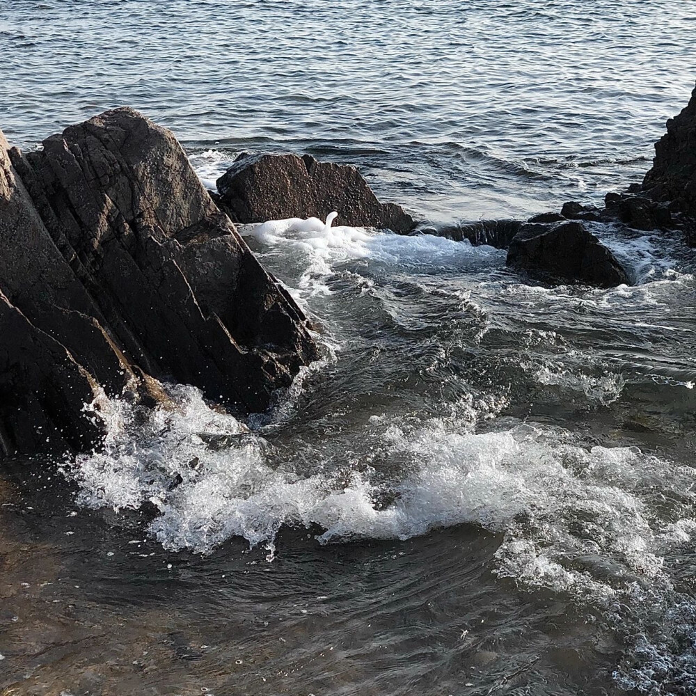 一起去看海