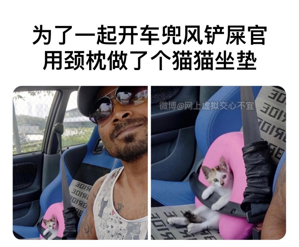 meme图