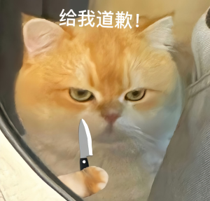 小猫表情包