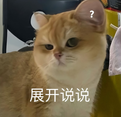 小猫表情包