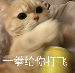 小猫表情包