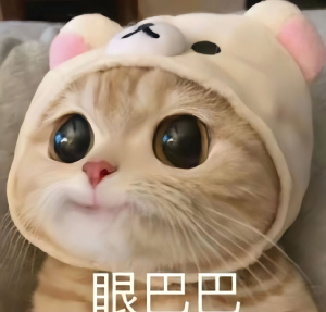 小猫表情包