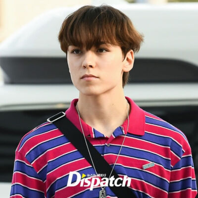 崔韩率（VERNON）
❣️ⓈⒺⓋⒺⓃⓉⒺⒺⓃ❣️