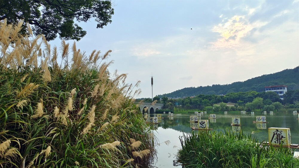 美丽吉安：后河景区风光欣赏（芦荻园处）