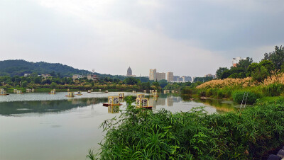 美丽吉安：后河景区风光欣赏（芦荻园处）