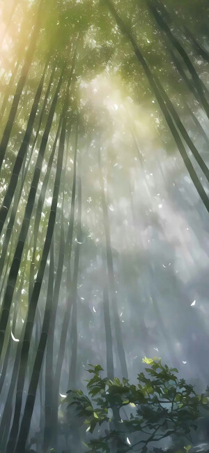 丁达尔效应壁纸